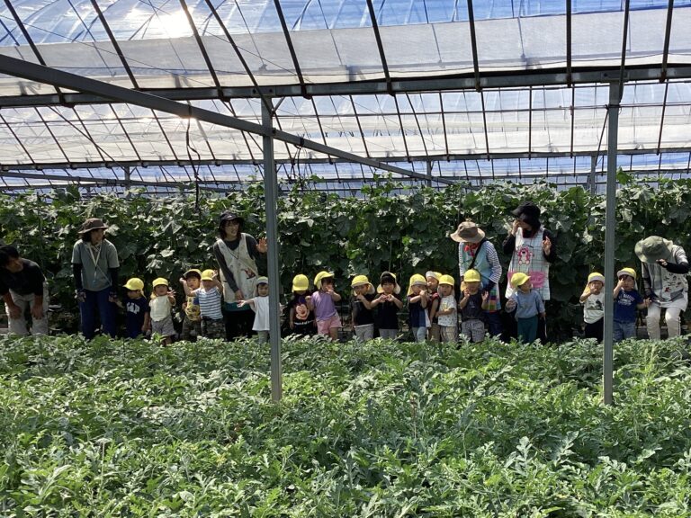 トマト・きゅうりの収穫体験🍅🥒(0.1.2歳児)