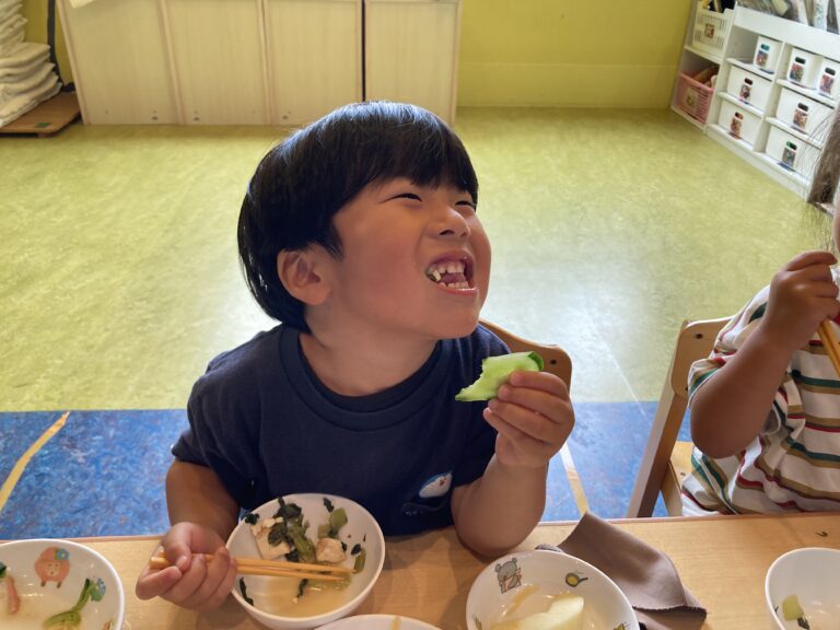 きゅうりを収穫しました🥒にじチーム(3歳児)